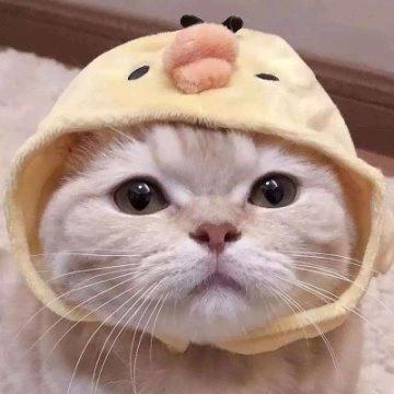 かくかん