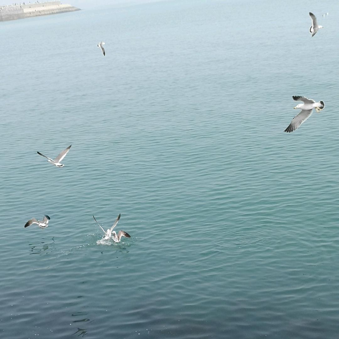 嗨（๑✧∀✧๑）☀