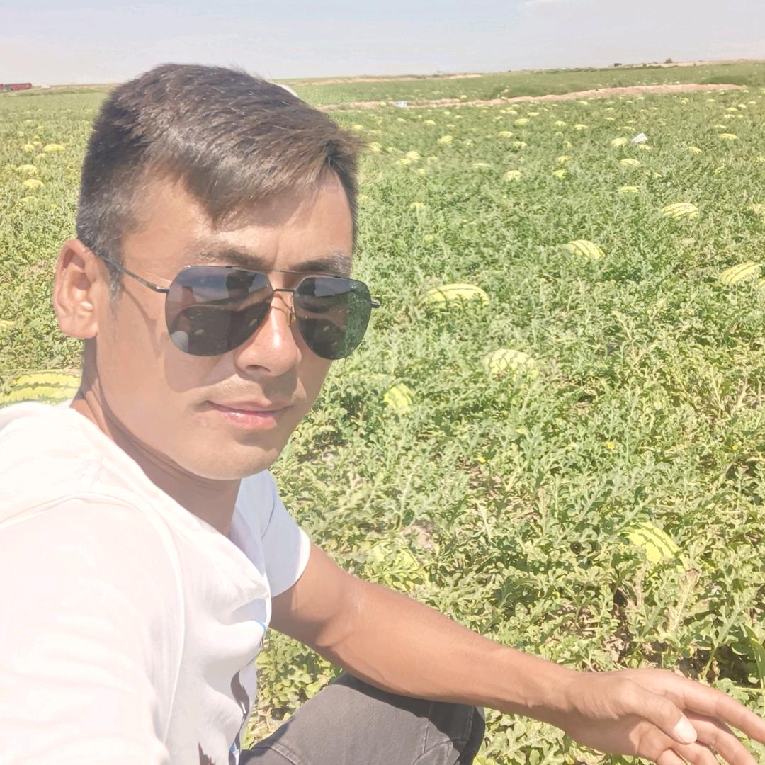 🚜汉子团队🚜