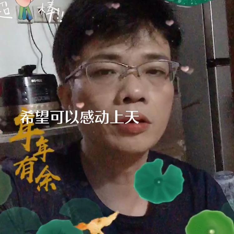 温柔的港湾