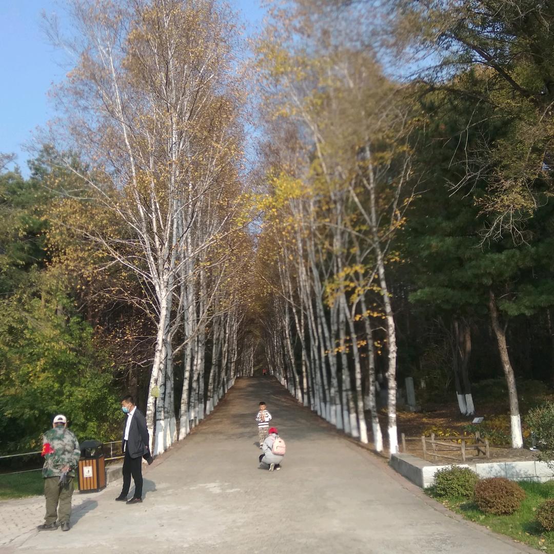 水云间