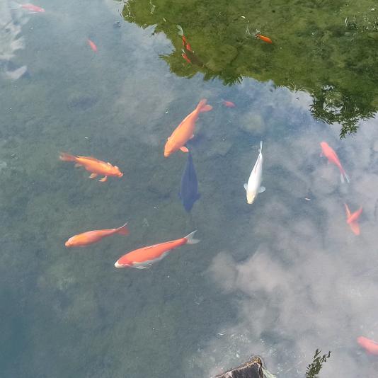 努力  拥有