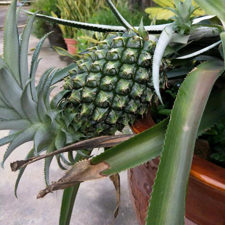 ^O^鱼姐儿（勿秒赞连赞）