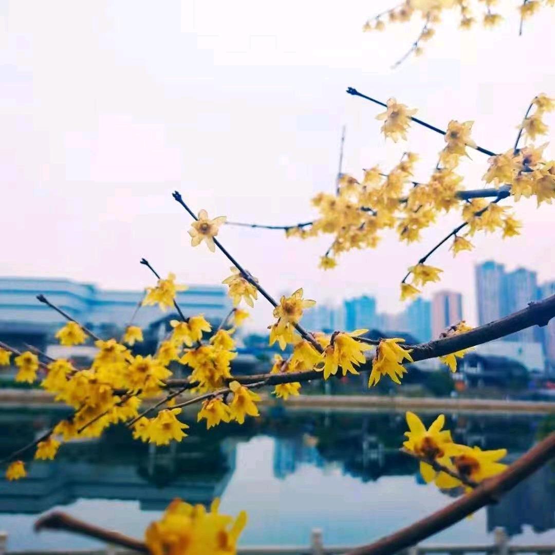 三块石头用户3636819461255