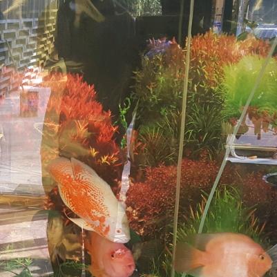 用户1780112301976我本善良