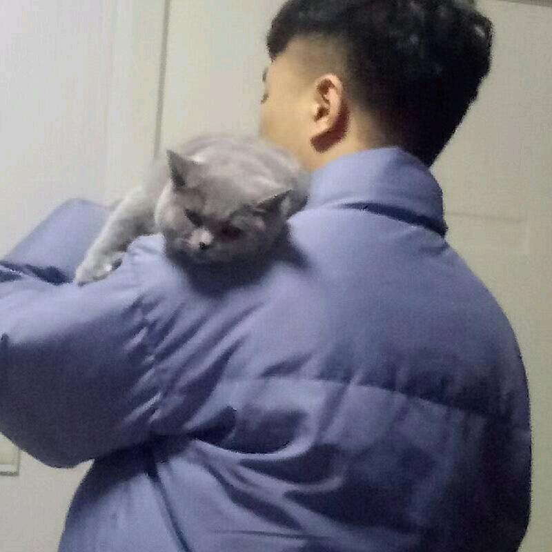 涅槃重生