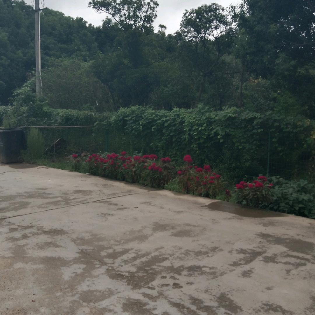 幸福你我