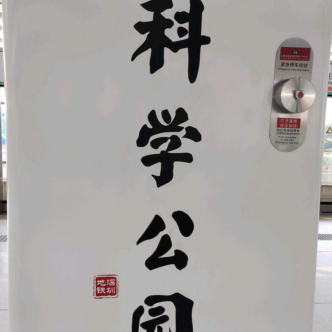 青松一生