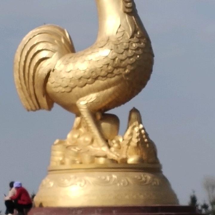 最美的世界
