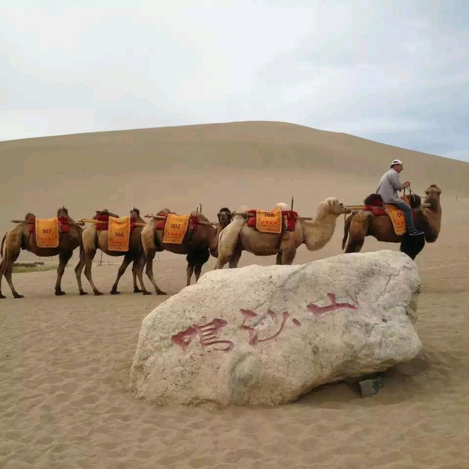 为你下载