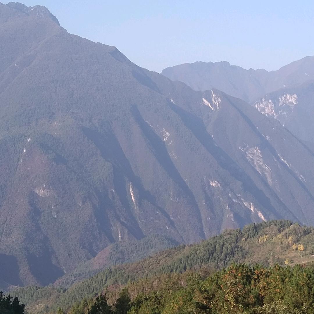 蚕丝被店分司街63号夹江县