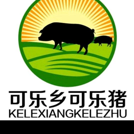 观山湖区可乐乡可乐猪北路食品店