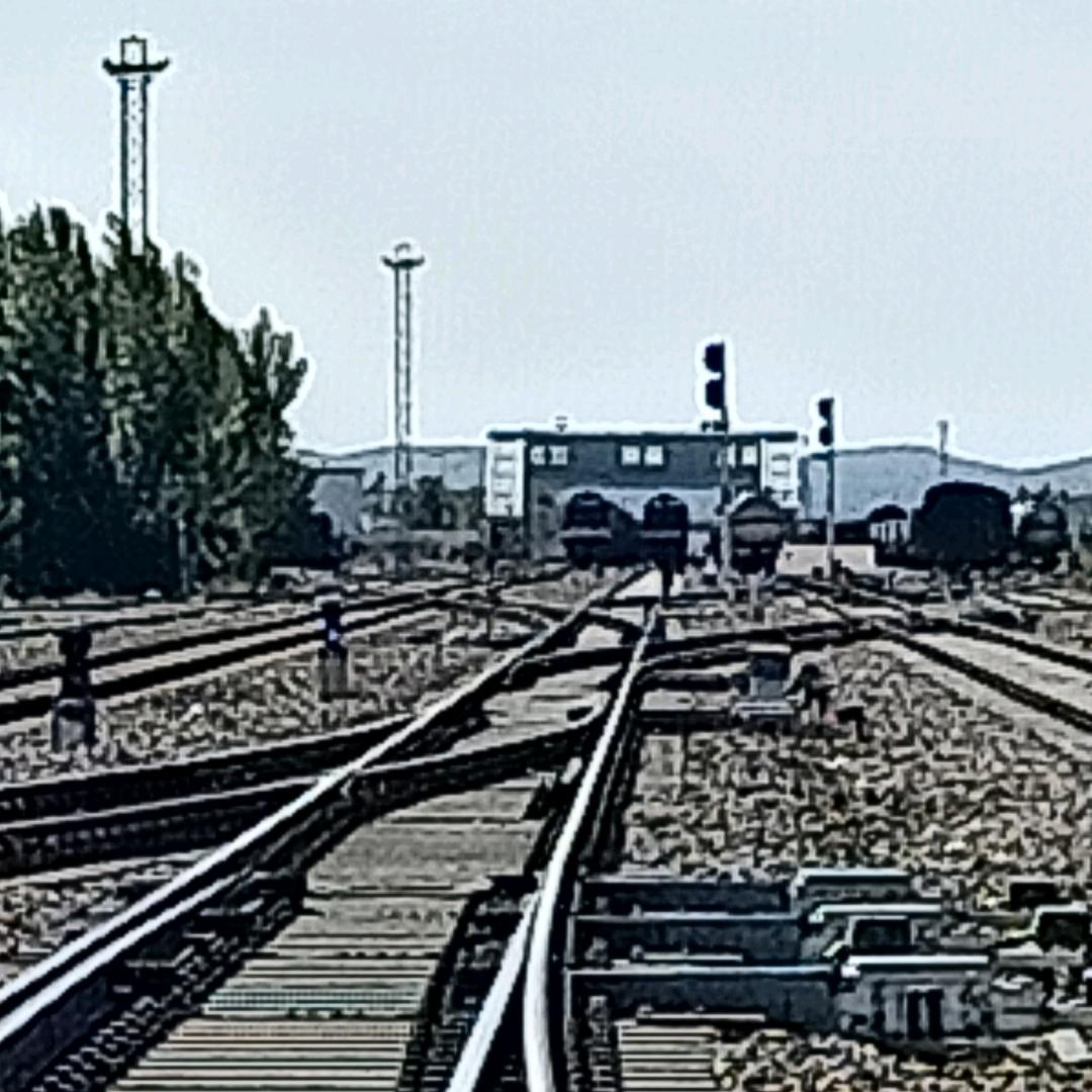 《蒙H》🌜无语问苍天🌛