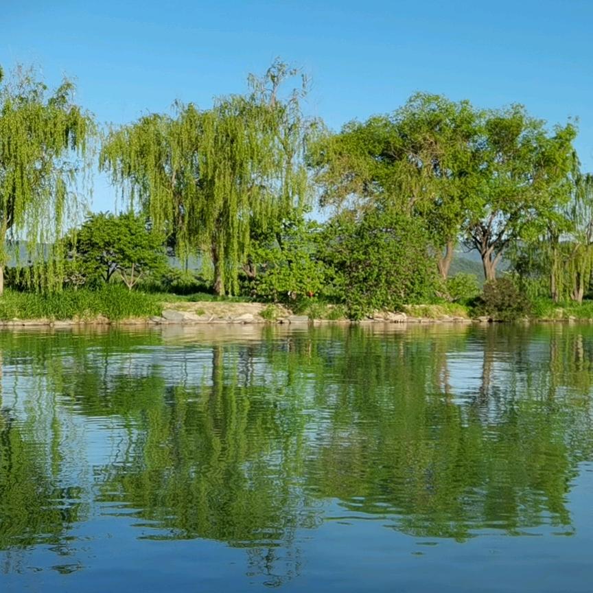 聆听