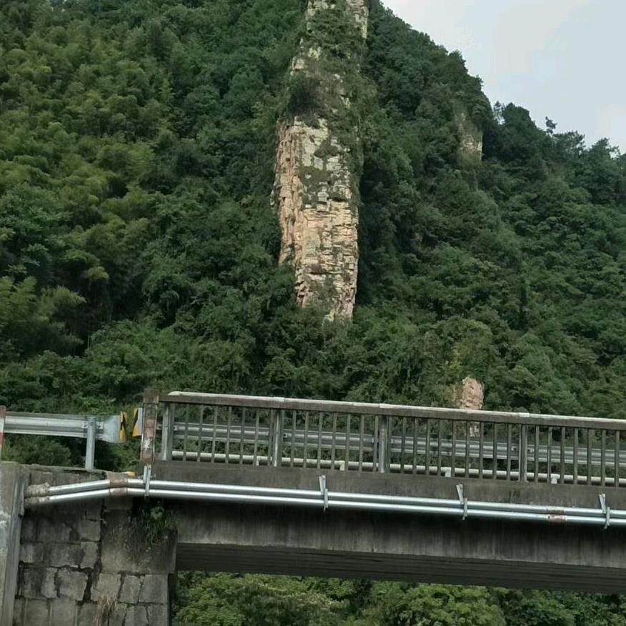 心系大海