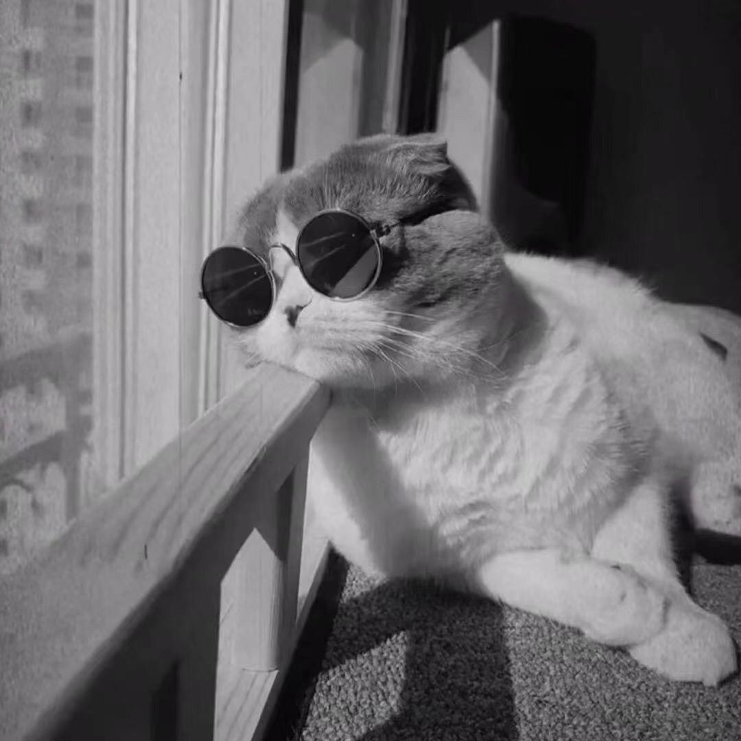 长沙房产吴彦祖