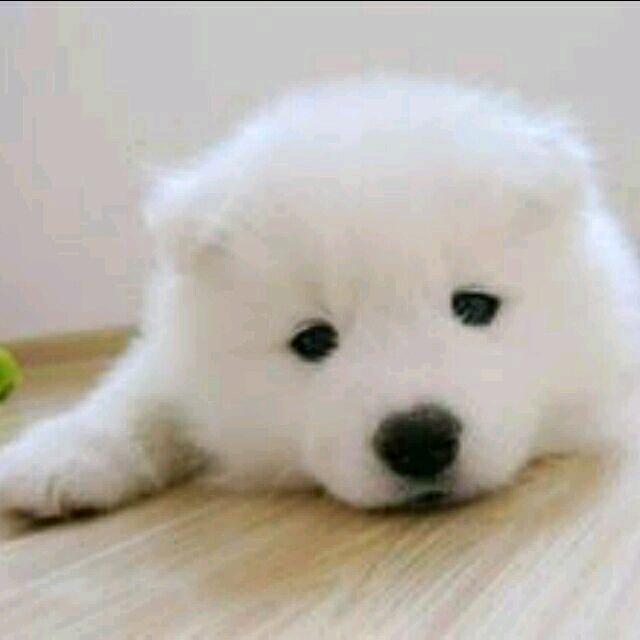 浮生若梦破碎空成戏