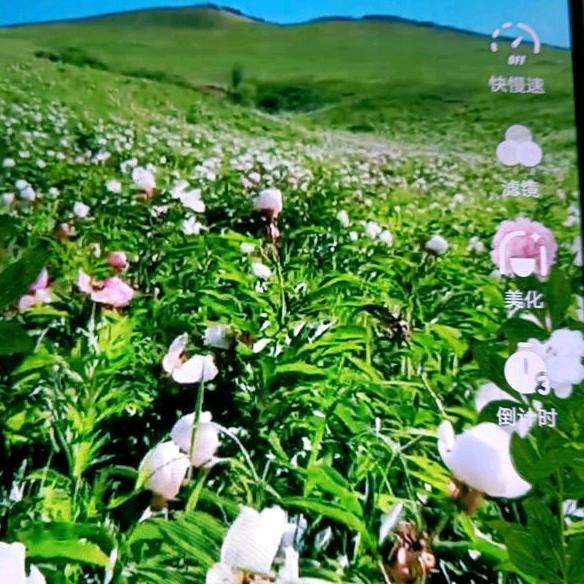 邹爷爷
