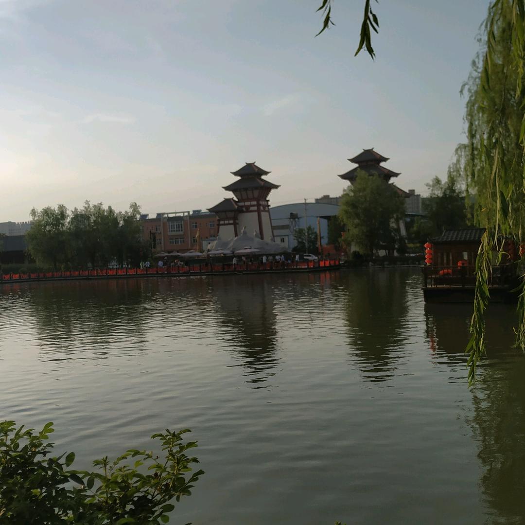 一🌸一世界