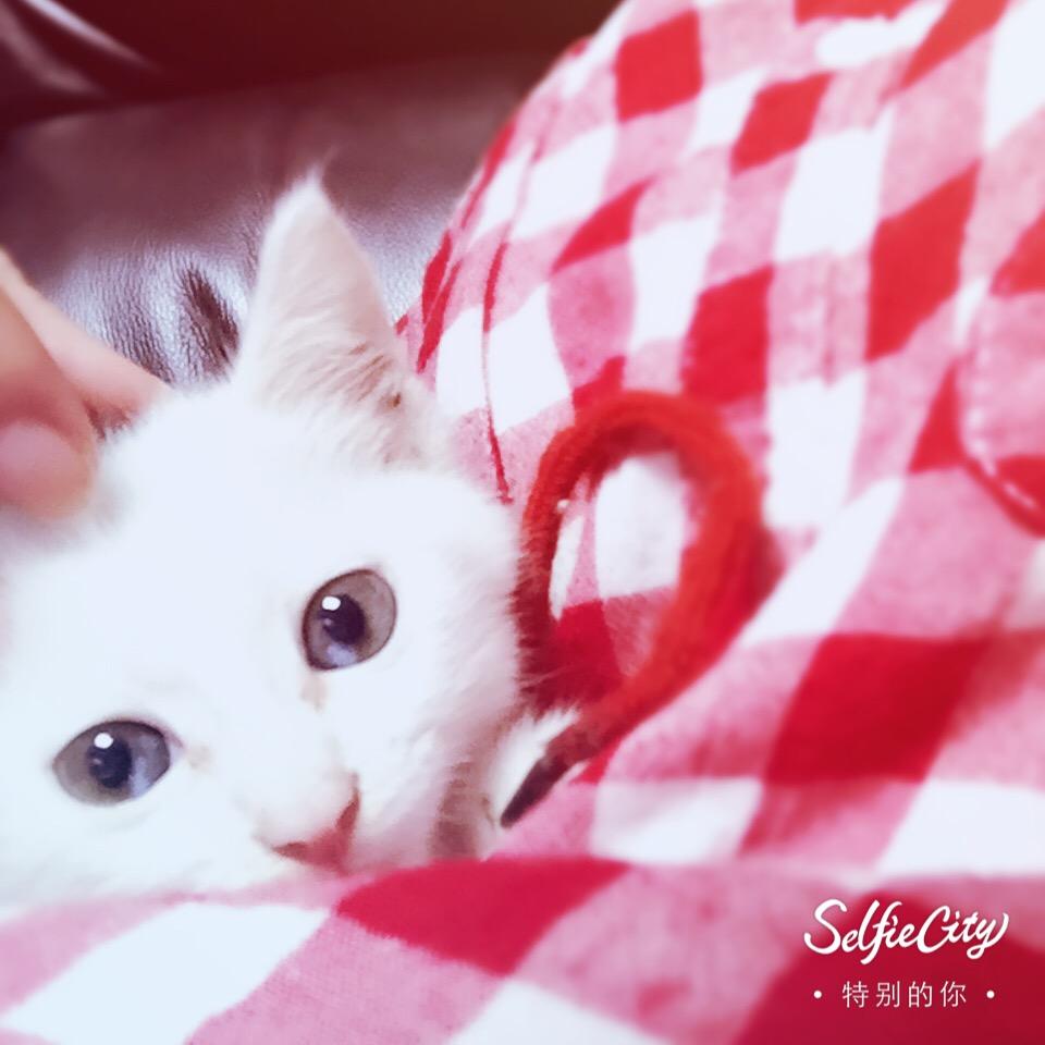 姚小姚有斗志