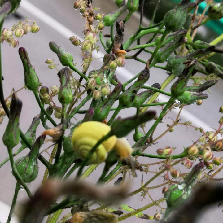 我还小呢