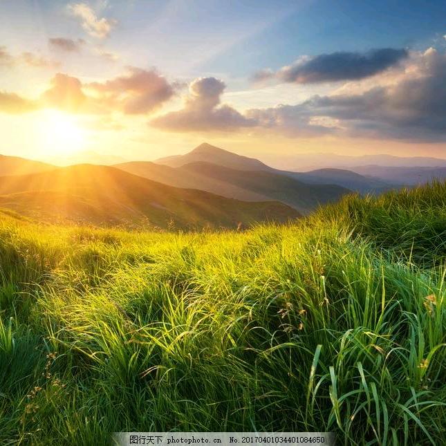 彩云之南阿里哥