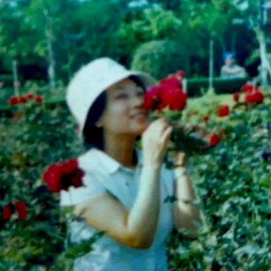 鱼儿