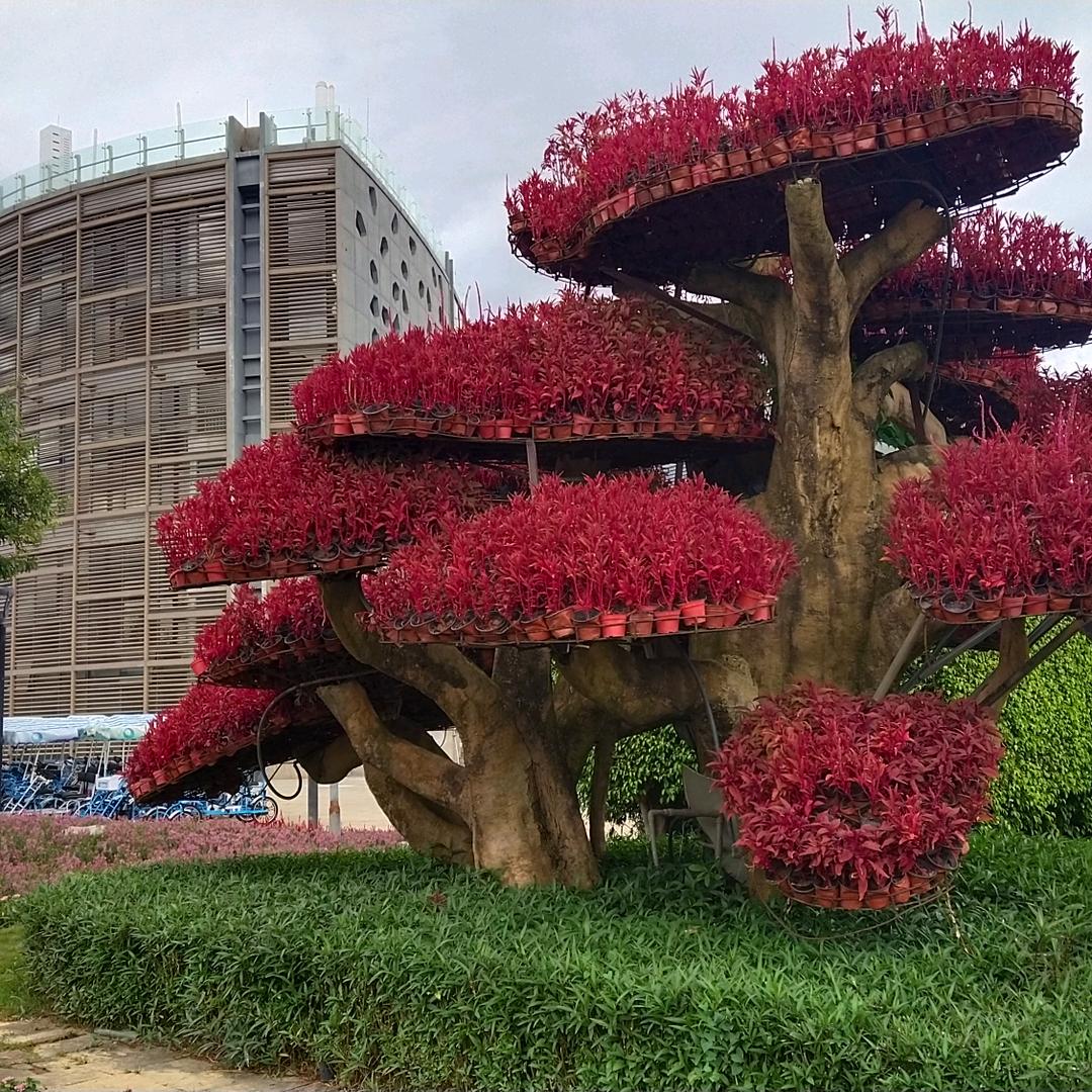 叶💑🌅余生好运。