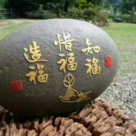 @阿阿秋