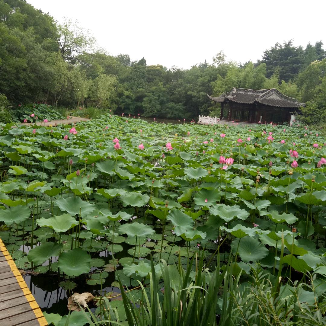 逸然