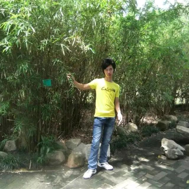 回忆就是美