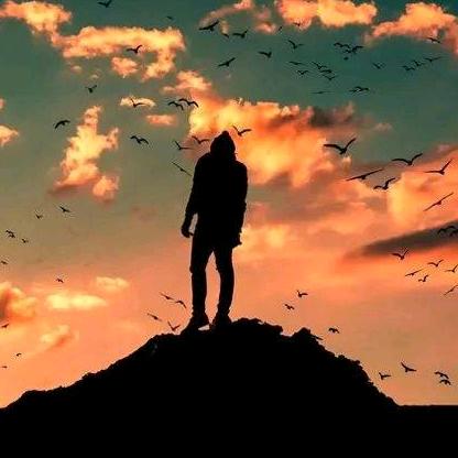 ꧁꫞꯭ 醉清风꫞꧂