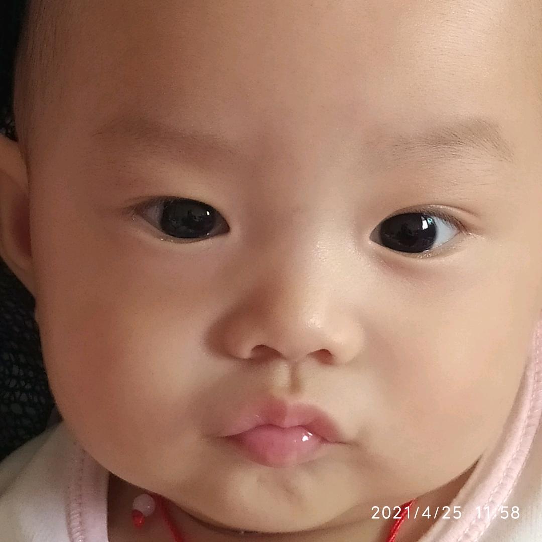 炫炫成长记