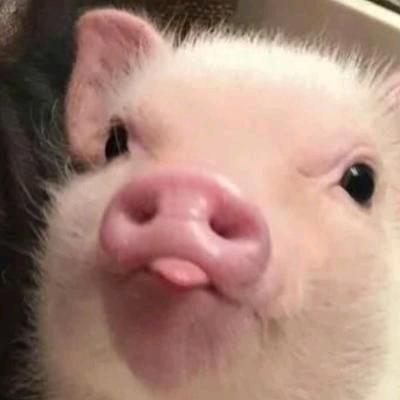 模范先锋