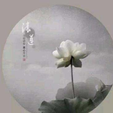 舒雅