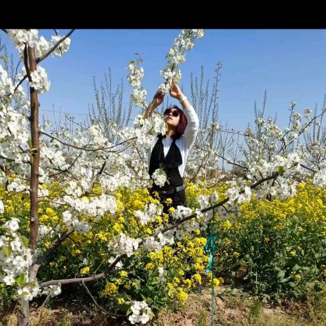铝厂现做罐罐奶茶冰糖烤梨