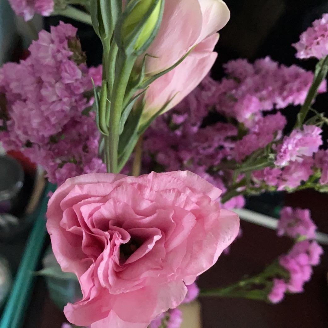 😍😍❤️❤️