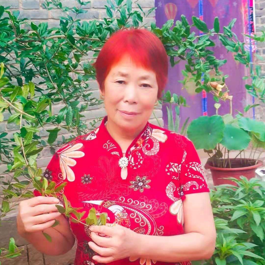 心想事成天天开心