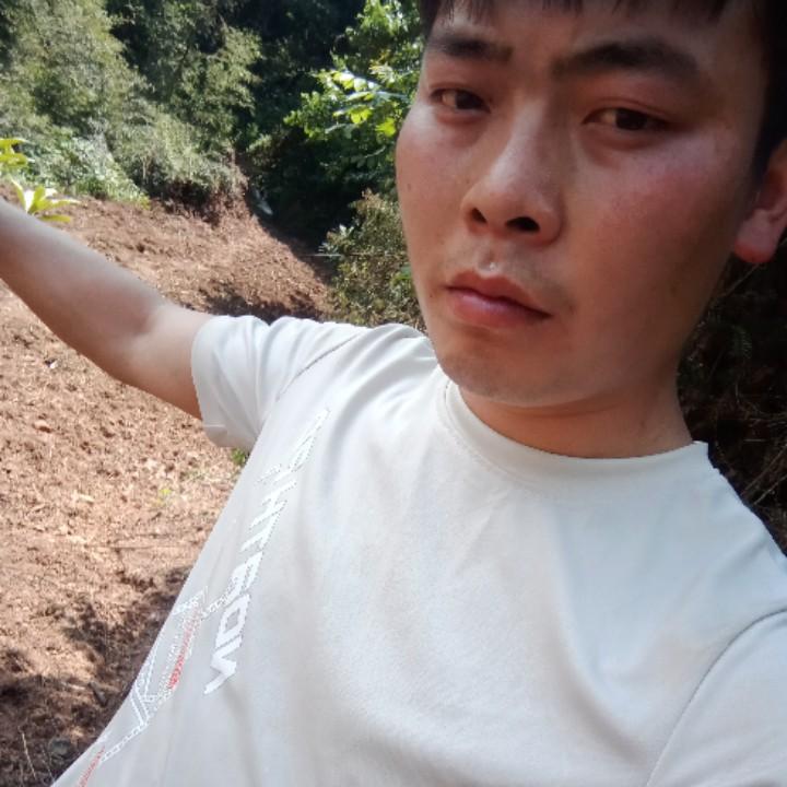 王金龙