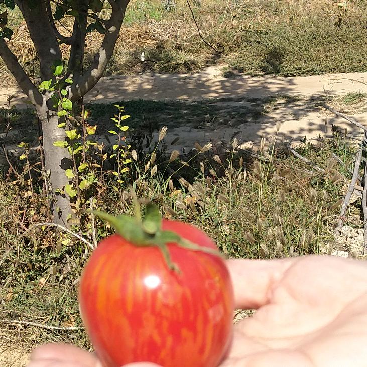 用户2027966615376永远年轻