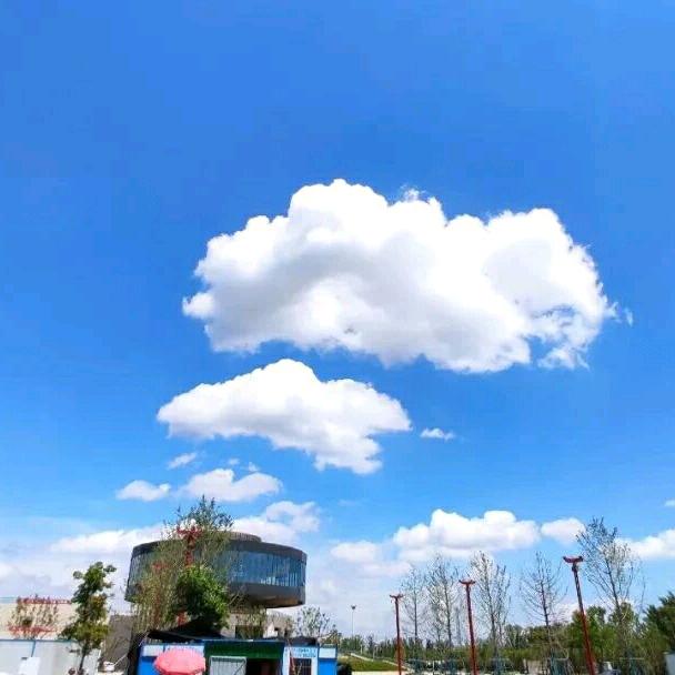淡淡的幸福