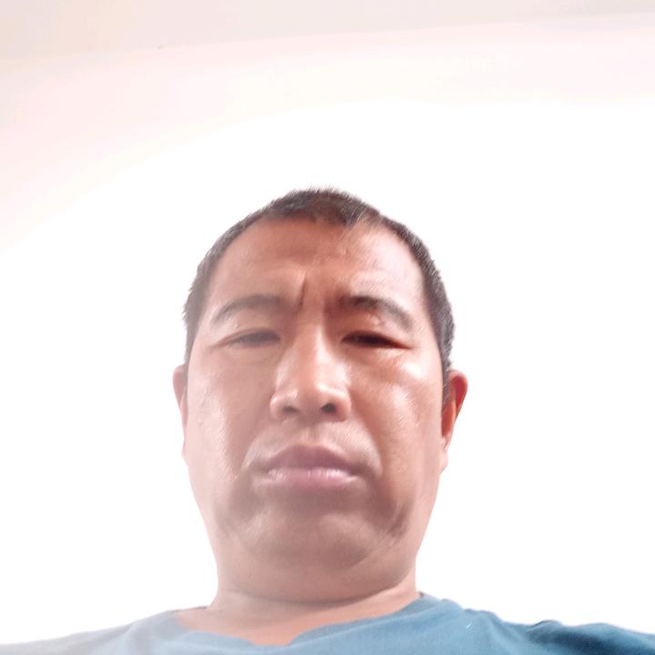 垦荒牛