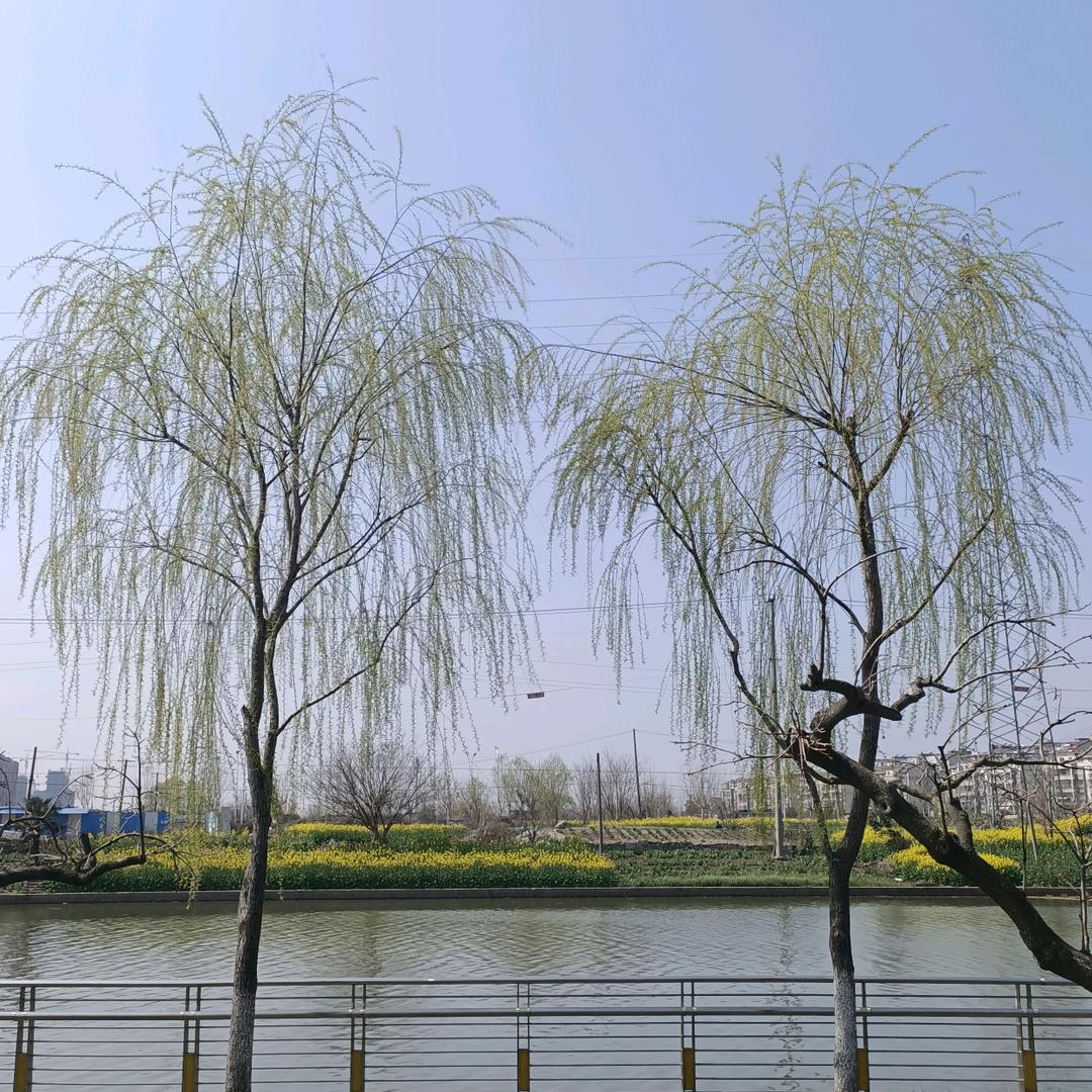 燕