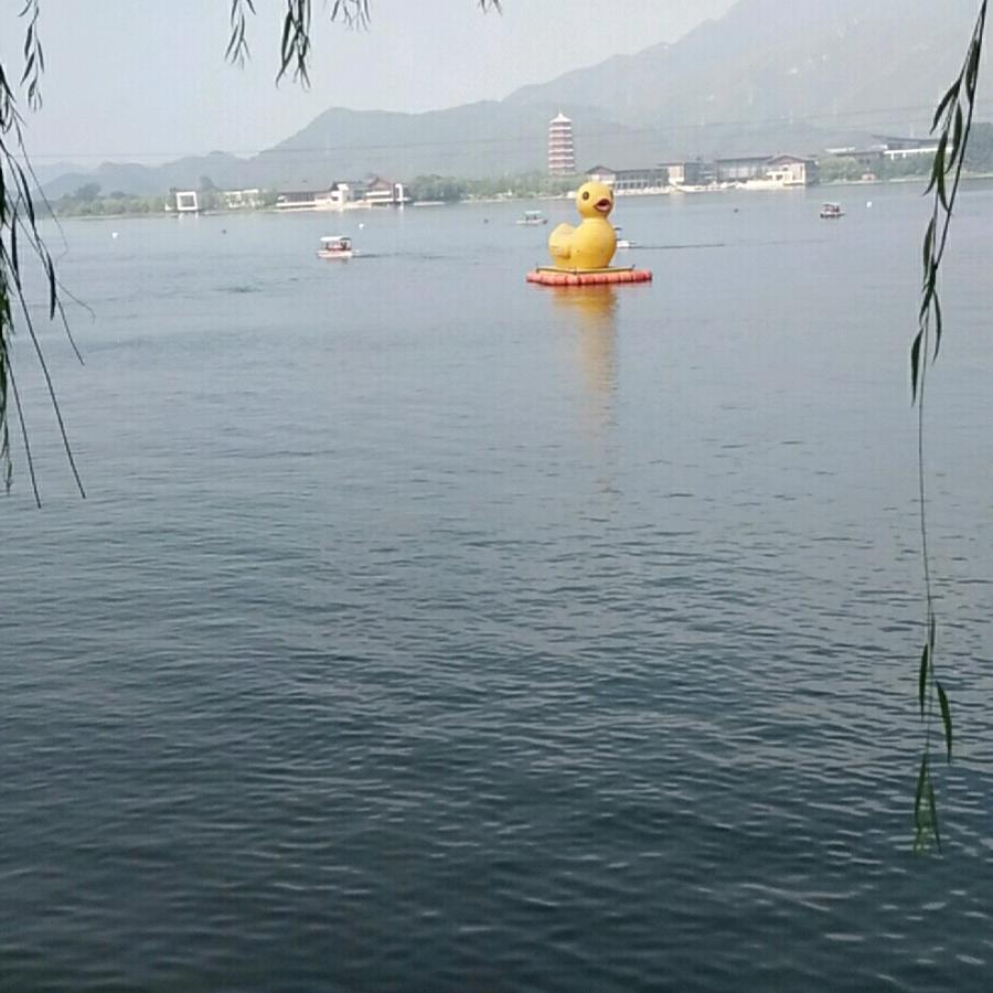 东芳不败