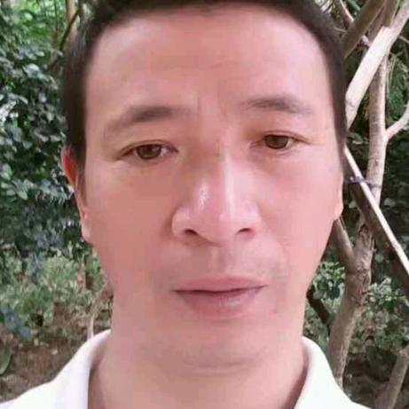 众木成林