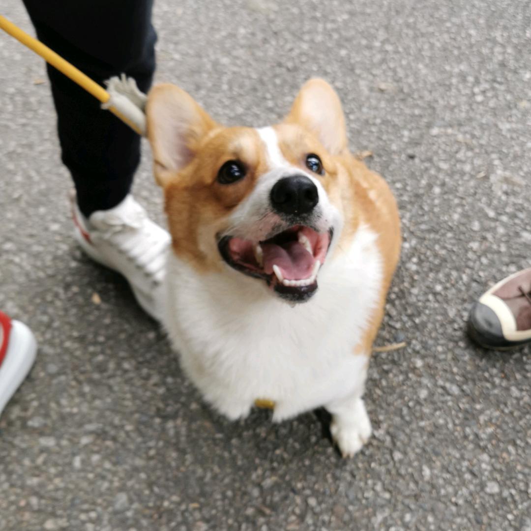 小七（命苦高中生）