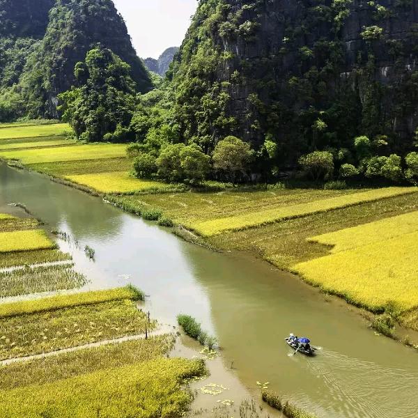 清江内观(冥想、禅修)