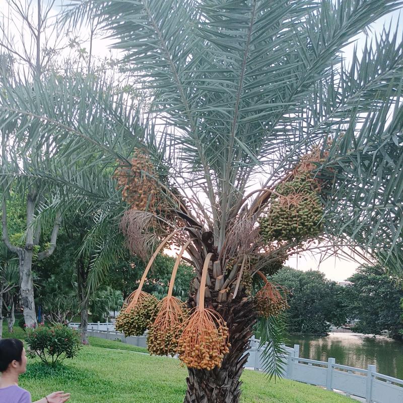 微笑着面对生活