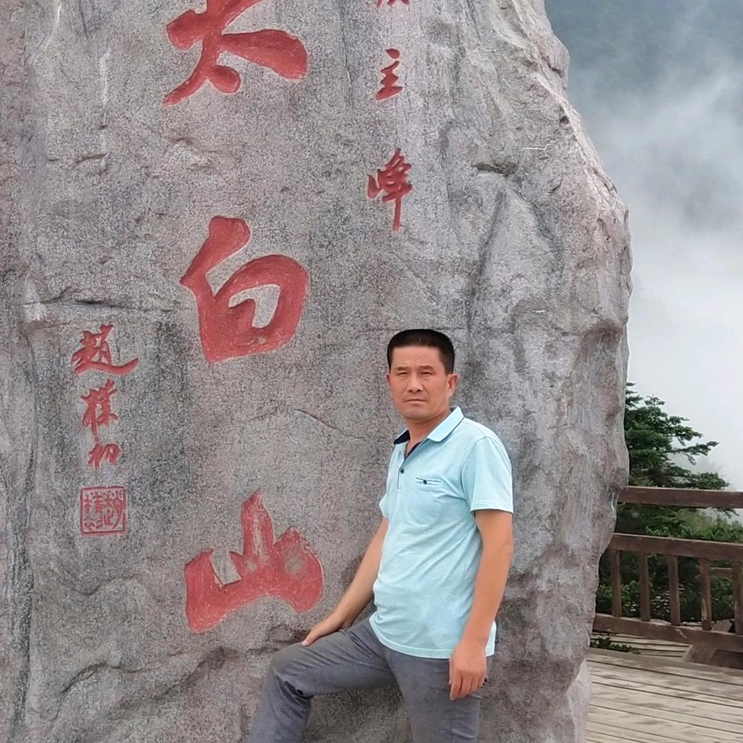 福临老马