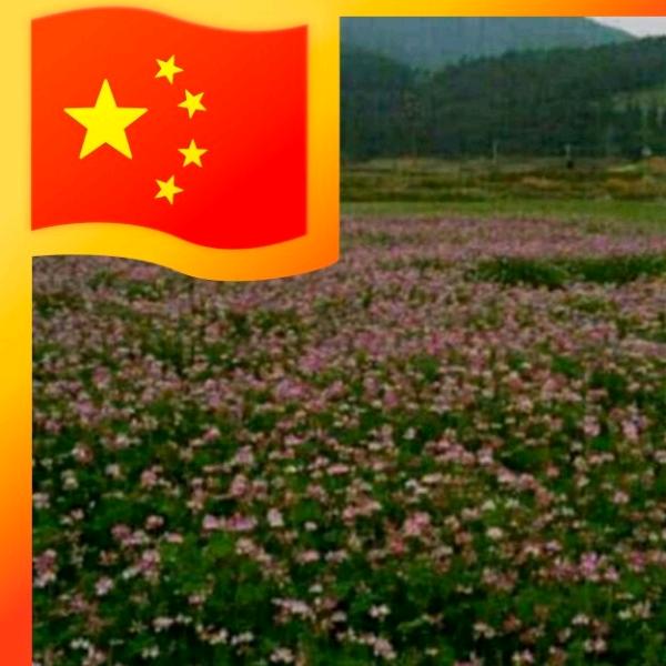 小草暗香